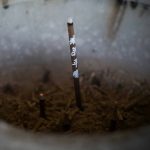 Burning Incense at Home: 7 Proven Tips to Avoid Costly Mistakes
